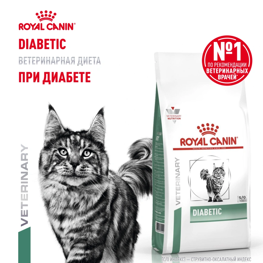Сухой корм Royal Canin Diabetic для кошек, 350 г фото 13