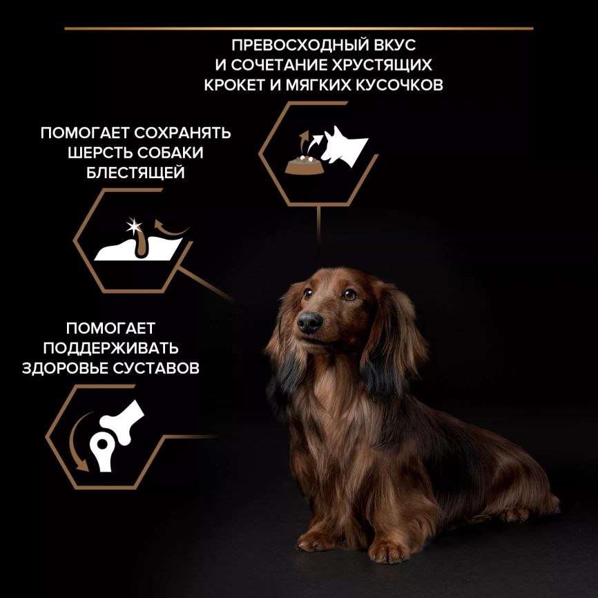 Сухой корм PRO PLAN DUO DELICE Beef для взрослых собак мелких и карликовых пород, с высоким содержанием говядины, 700 г фото 2