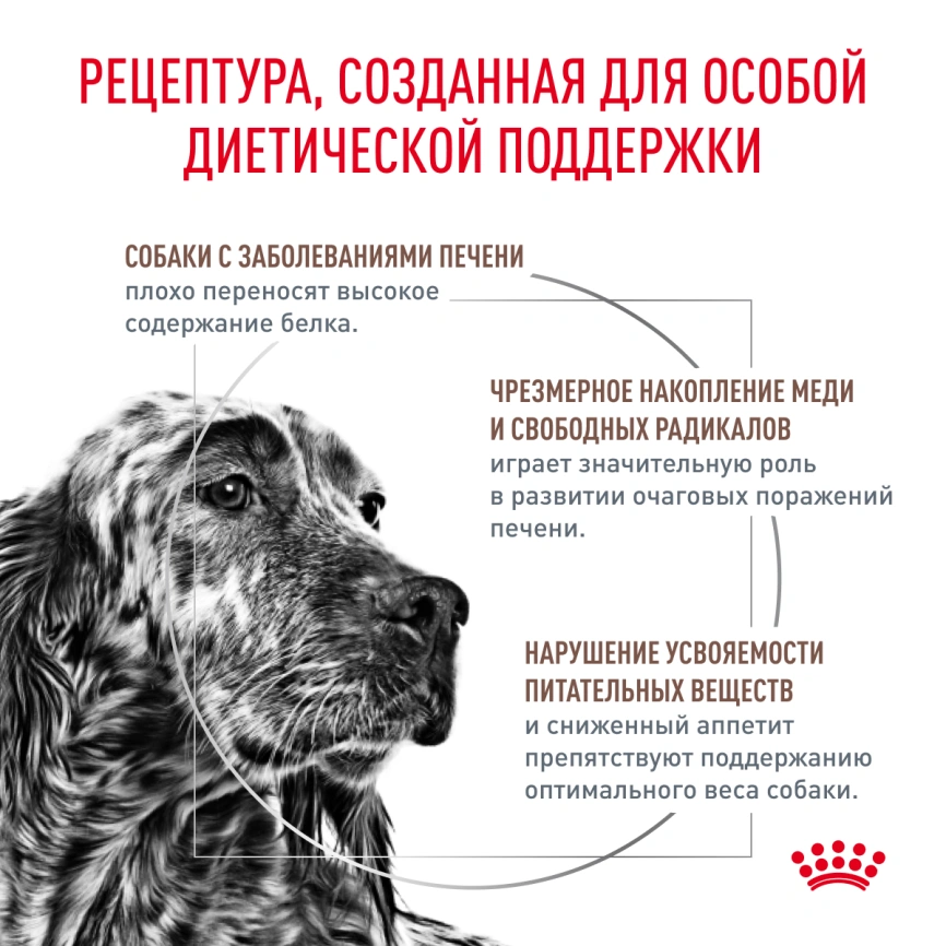 Сухой корм Royal Canin Hepatiс для собак, 12 кг фото 3