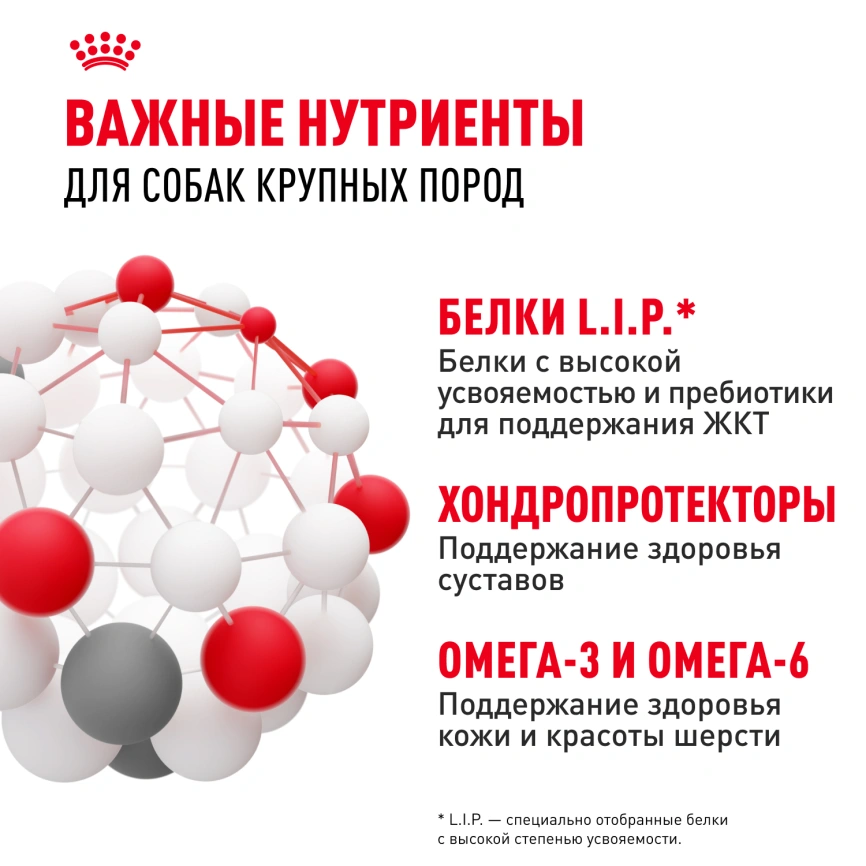 Сухой корм Royal Canin Maxi Adult для собак, 15 кг фото 5