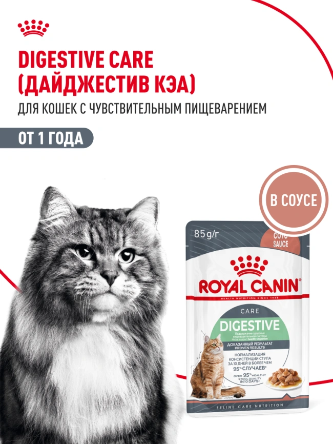 Влажный корм Royal Canin Digest Sensitive в соусе для улучшения пищеварения у взрослых кошек старше 1 года, пауч, 85 г фото 15