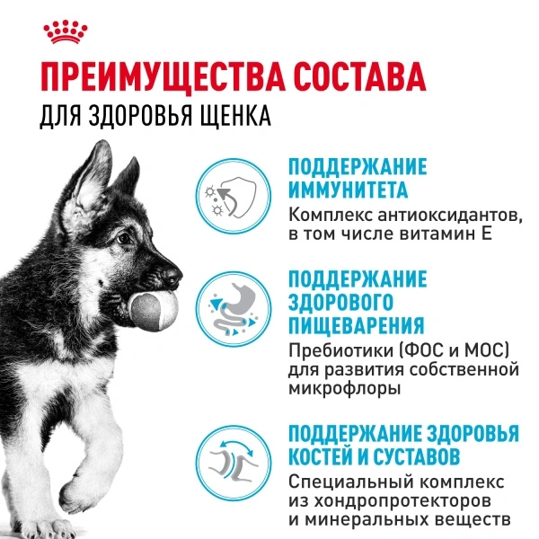 Сухой корм Royal Canin German Shepherd Puppy для щенков, 3 кг фото 3