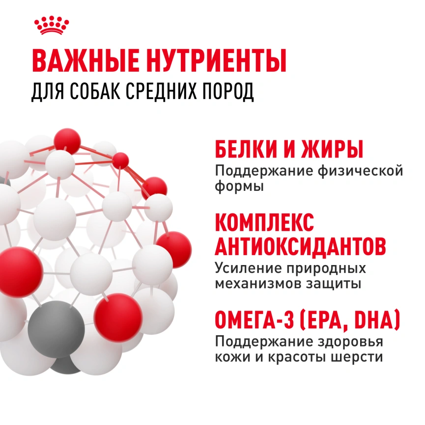 Сухой корм Royal Canin Medium Adult для собак, 15 кг фото 5