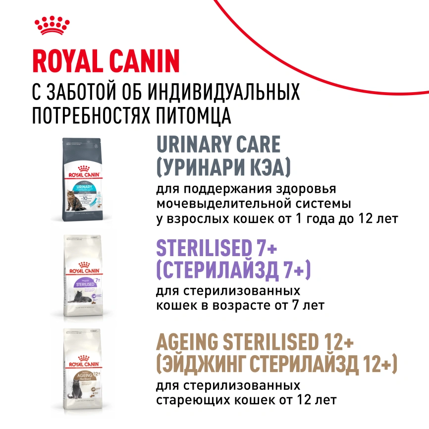 Сухой корм Royal Canin Sterilised для кастрированных котов и стерилизованных кошек, 400 г фото 17