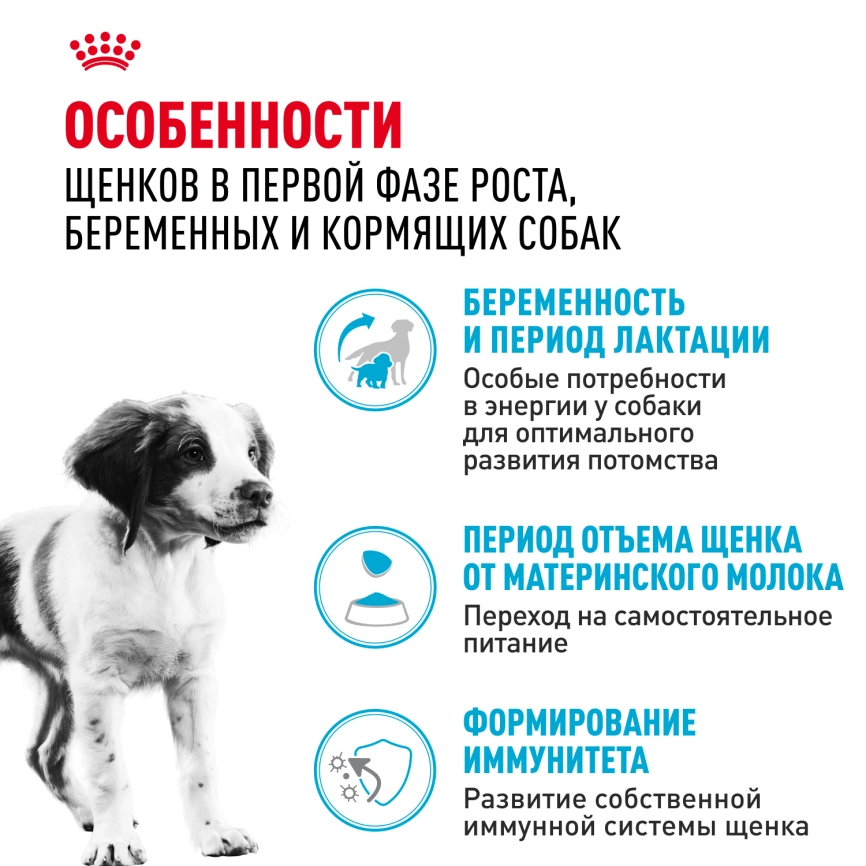 Сухой корм Royal Canin Medium Starter Mother &amp; Babydog для щенков и кормящих сук, 4 кг фото 3