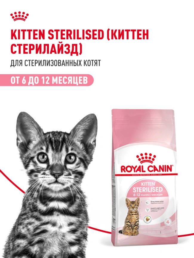 Сухой корм Royal Canin Kitten Sterilised для котят, 3.5 кг фото 19