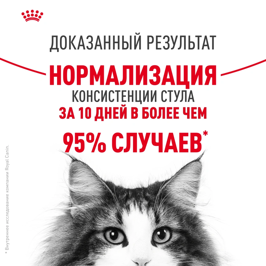 Сухой корм Royal Canin Digestive Care для кошек, 400 г фото 11