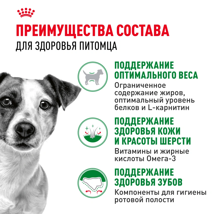 Сухой корм Royal Canin Mini Adult для взрослых собак, 2 кг фото 5