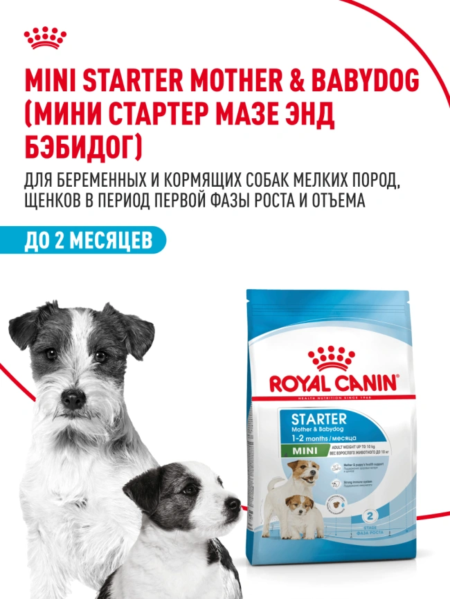 Сухой корм Royal Canin Mini Starter Mother & Babydog для щенков и кормящих сук, 8.5 кг фото 13