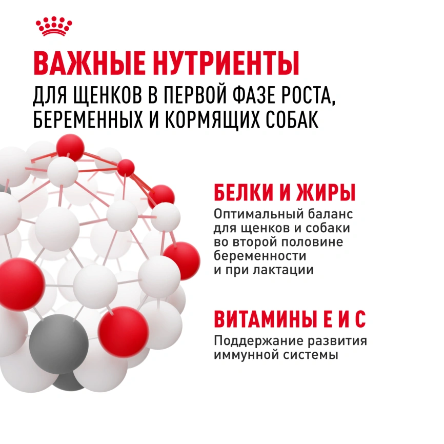 Сухой корм Royal Canin Giant Starter Mother & Babydog для щенков и собак, 15 кг фото 5