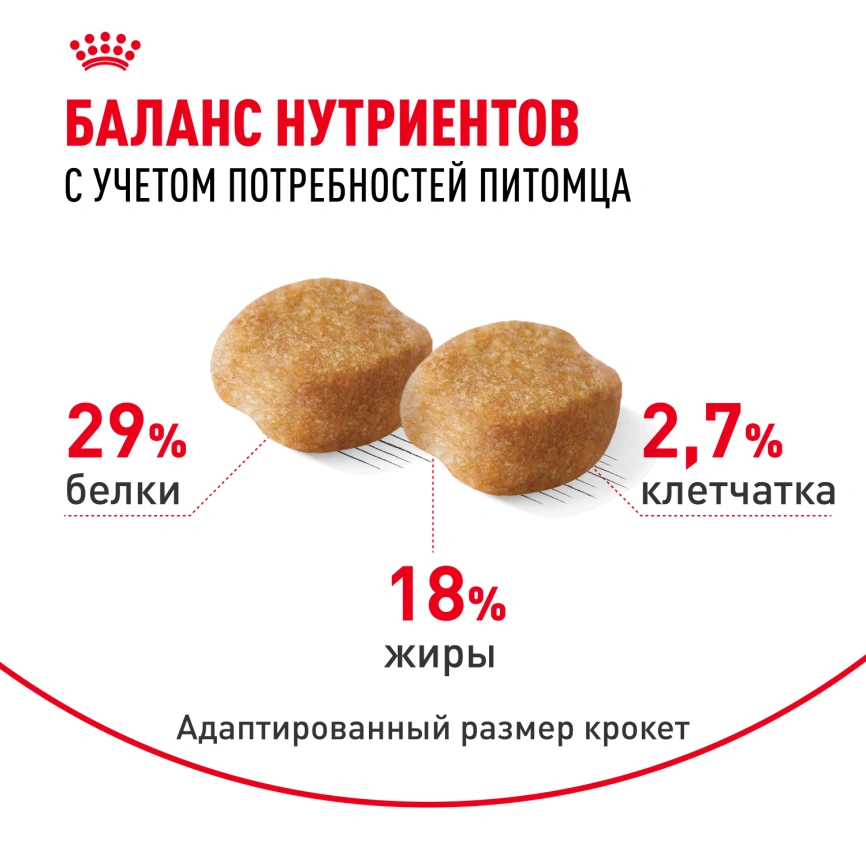 Сухой корм Royal Canin Yorkshire Terrier Adult 8+ для собак породы йоркширский терьер, 1.5 кг фото 5