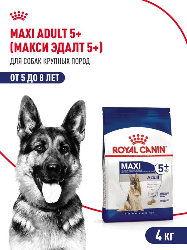 Сухой корм Royal Canin Maxi Adult 5+ для собак, 4 кг фото 14