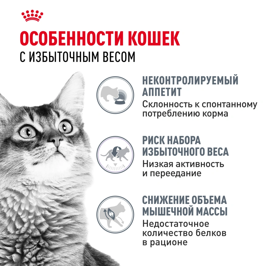 Сухой корм Royal Canin Light Weight Care для кошек, 400 г фото 2