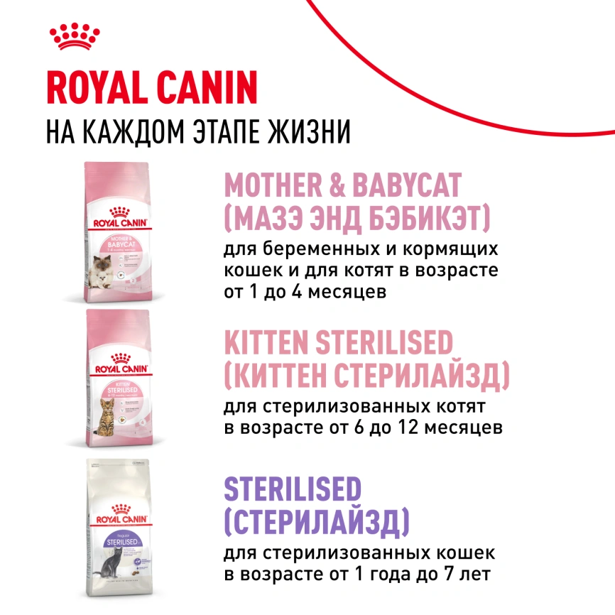 Сухой корм Royal Canin Kitten для котят, 10 кг фото 19