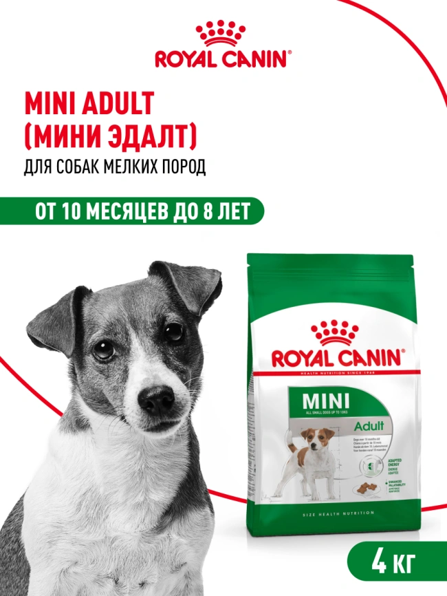 Сухой корм Royal Canin Mini Adult для взрослых собак, 4 кг фото 13