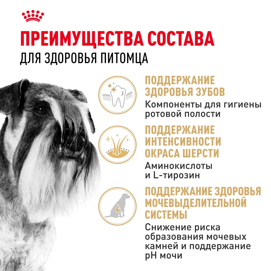 Сухой корм Royal Canin Miniature Schnauzer Adult для собак породы миниатюрный шнауцер, 3 кг фото 3