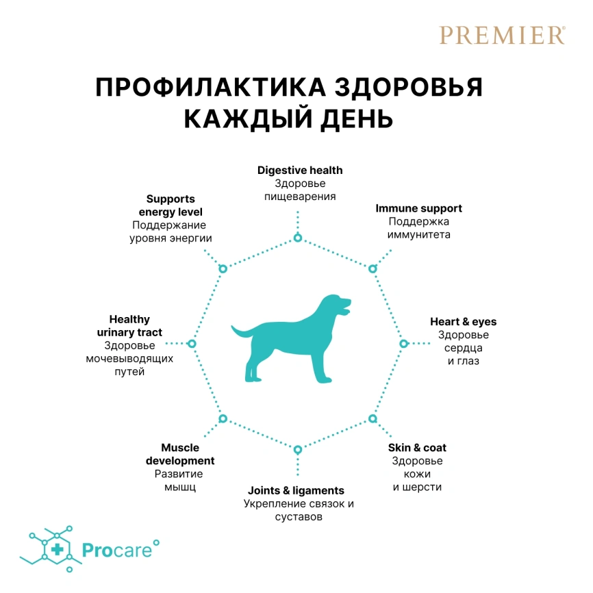 Сухой корм Premier Dog Lamb & Turkey Adult Medium для собак средних пород, 3 кг фото 4
