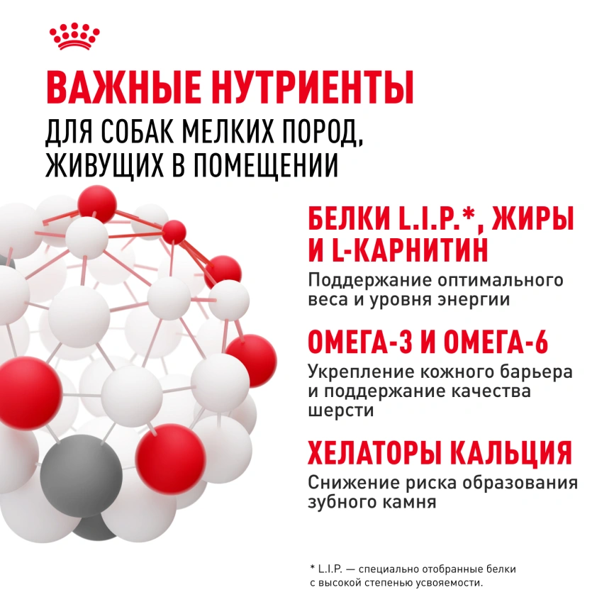 Сухой корм Royal Canin Mini Indoor Adult для собак, 10 кг фото 6