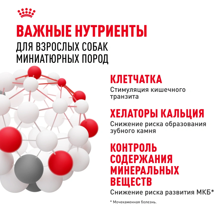 Сухой корм Royal Canin X-Small Adult для собак, 1.5 кг фото 5