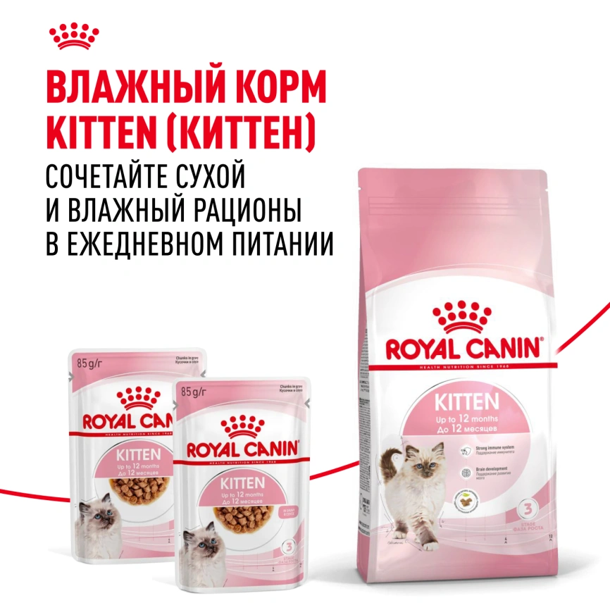Сухой корм Royal Canin Kitten для котят, 300 г фото 14