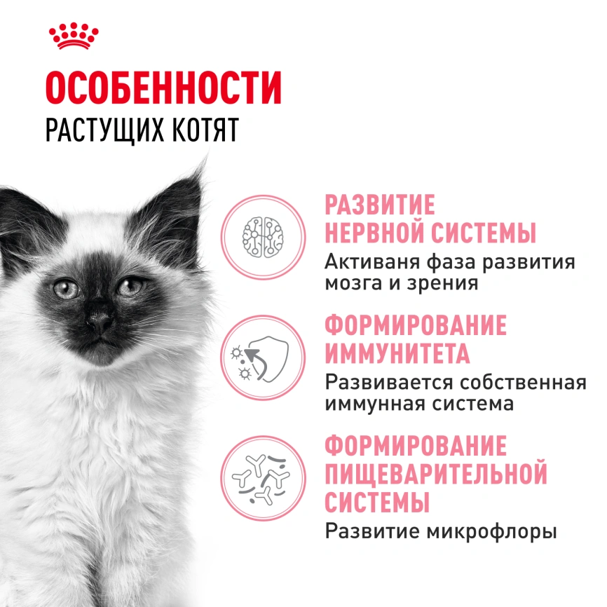 Сухой корм Royal Canin Kitten для котят, 1.2 кг фото 2