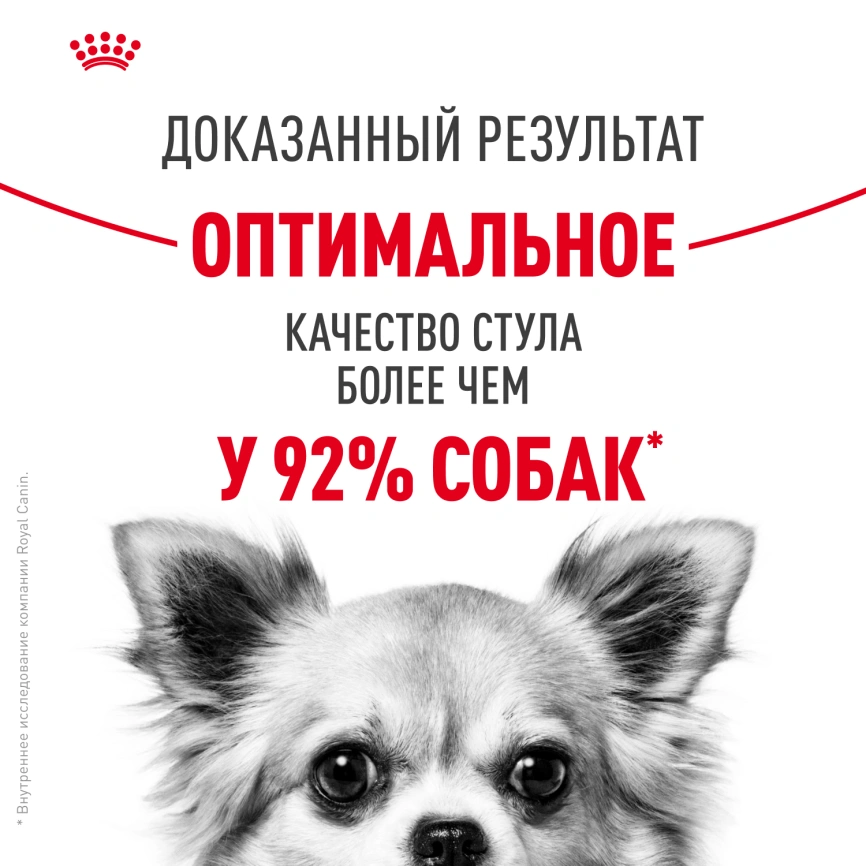 Сухой корм Royal Canin Mini Digestive Care для собак, 3 кг фото 11