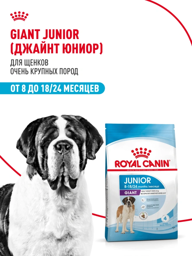 Сухой корм Royal Canin Giant Junior для щенков, 3.5 кг фото 12
