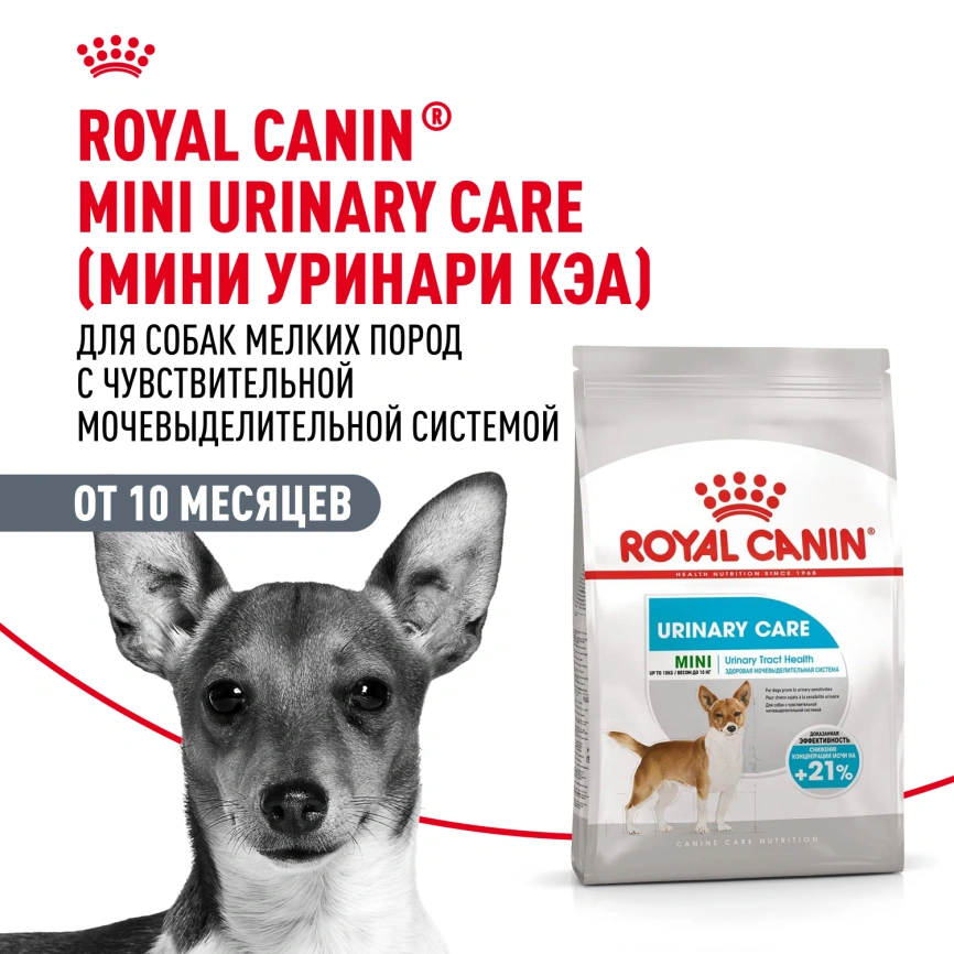 Сухой корм Royal Canin Mini Urinary Care для собак, 1 кг фото 15