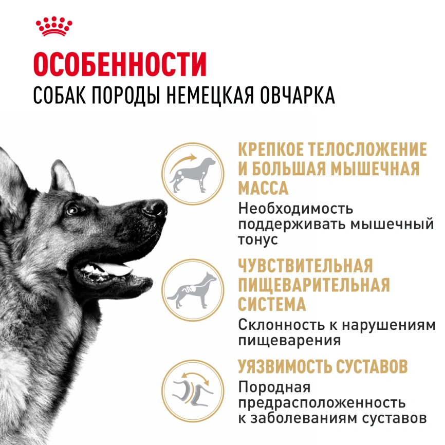 Сухой корм Royal Canin German Shepherd Adult для собак, 11 кг фото 2