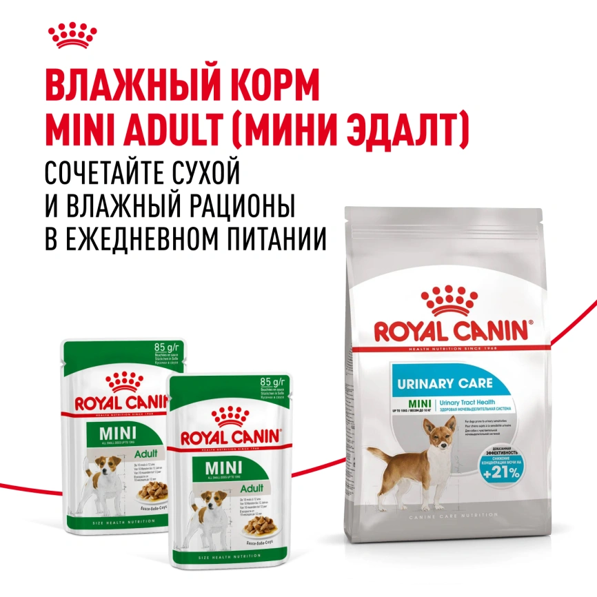 Сухой корм Royal Canin Mini Urinary Care для собак, 1 кг фото 8