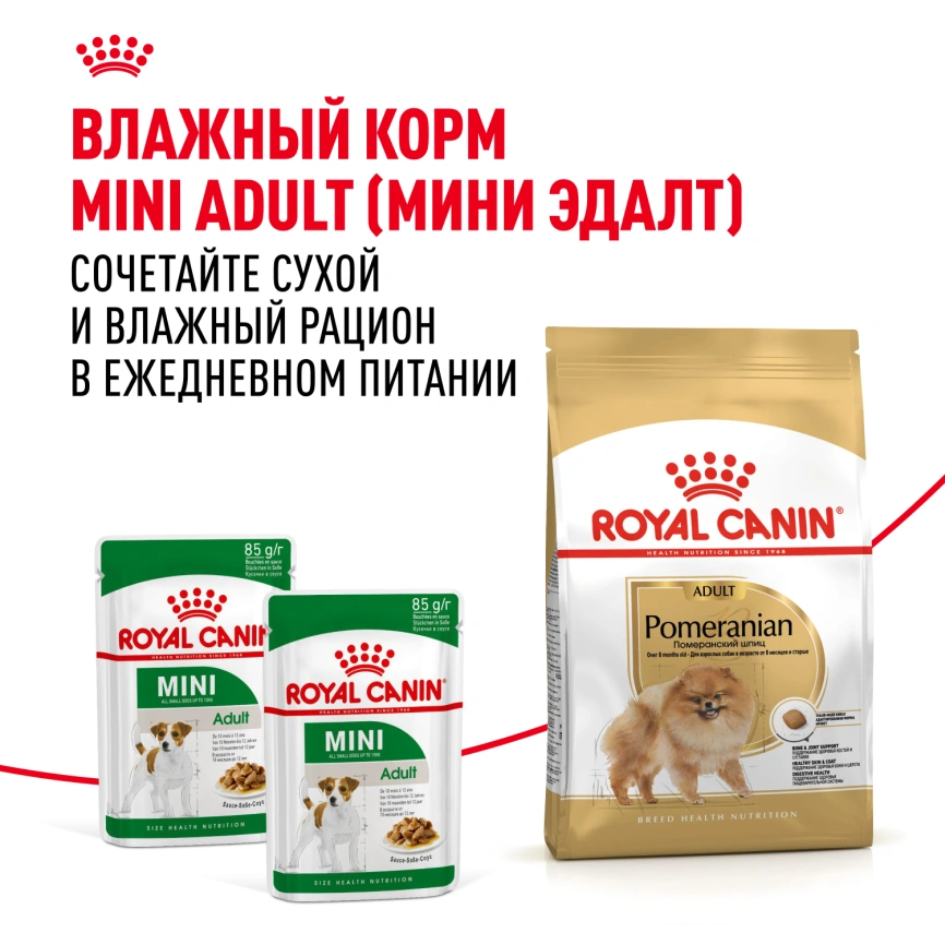 Сухой корм Royal Canin Pomeranian Adult для собак породы померанский шпиц, 500 г фото 8