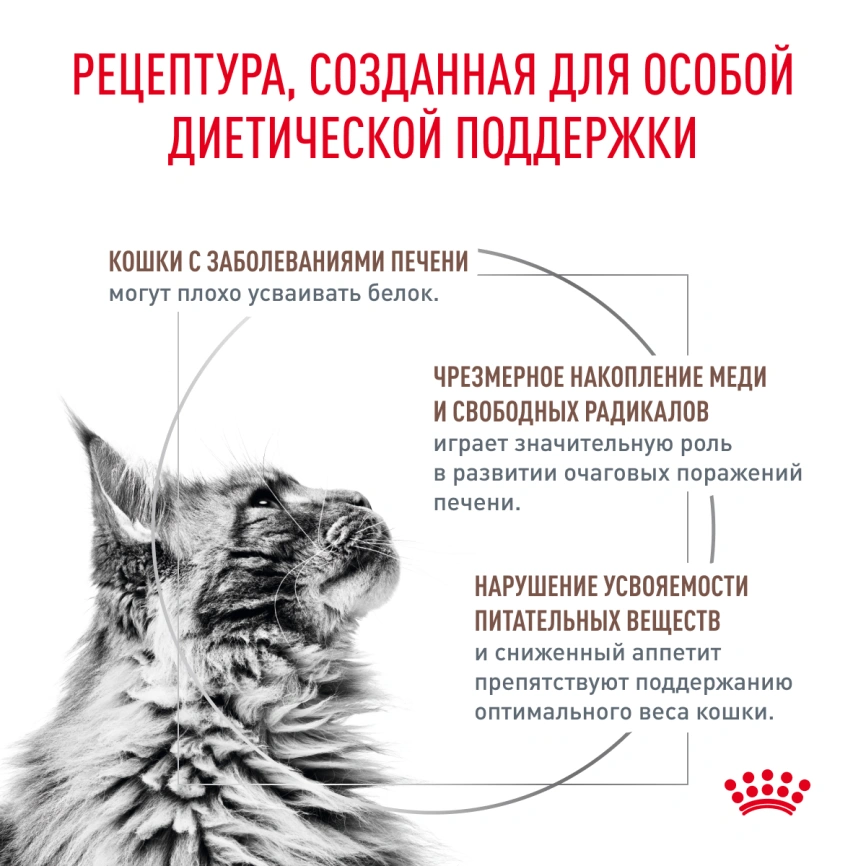 Сухой корм Royal Canin Hepatic для кошек, 2 кг фото 3