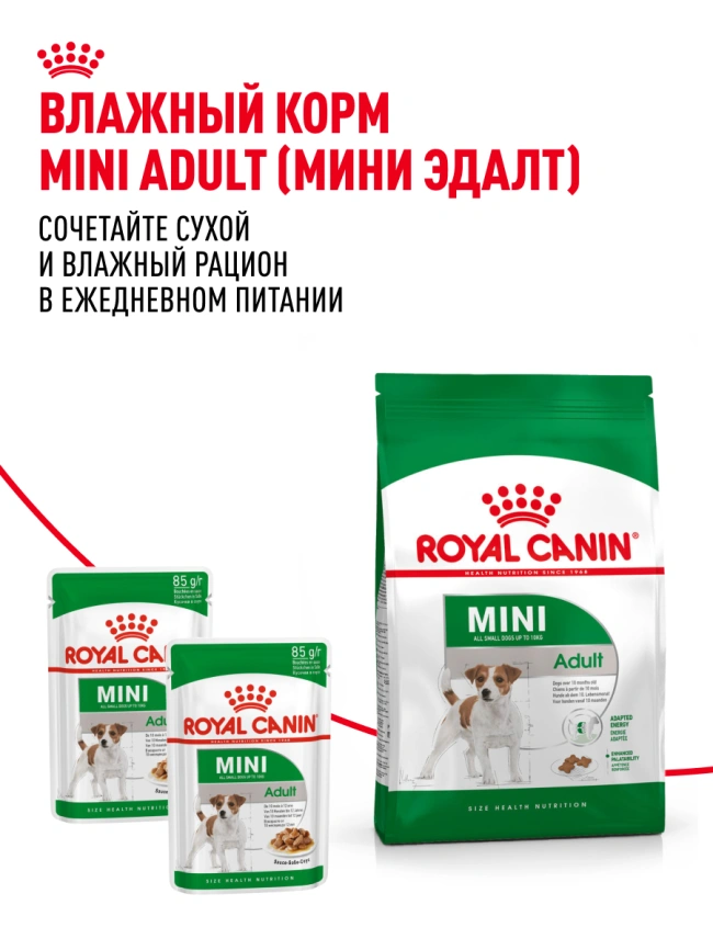 Сухой корм Royal Canin Mini Adult для взрослых собак, 8 кг фото 22
