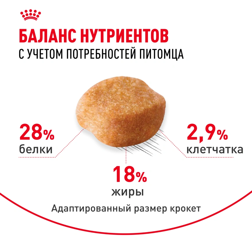 Сухой корм Royal Canin Yorkshire Terrier Adult для взрослых собак, 7.5 кг фото 4
