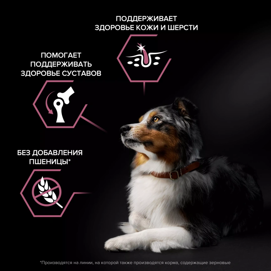 Сухой корм PRO PLAN Salmon для взрослых собак средних пород с чувствительной кожей, с высоким содержанием лосося, 3 кг фото 2