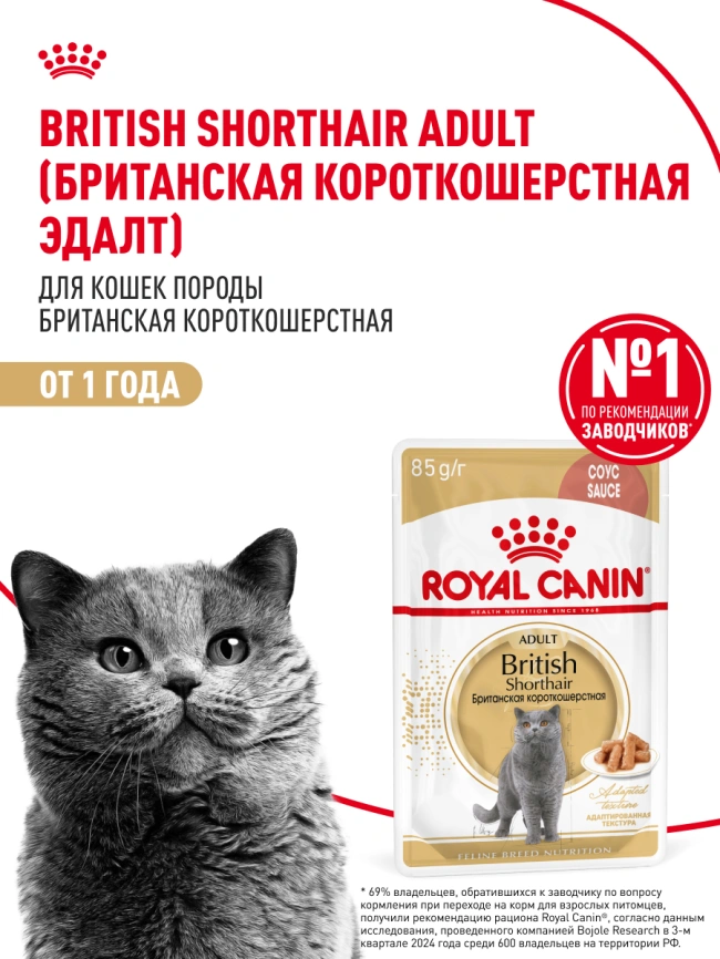Влажный корм Royal Canin British Shorthair в соусе для кошек породы британская короткошерстная и шотландская вислоухая старше 1 года, пауч, 85 г фото 15