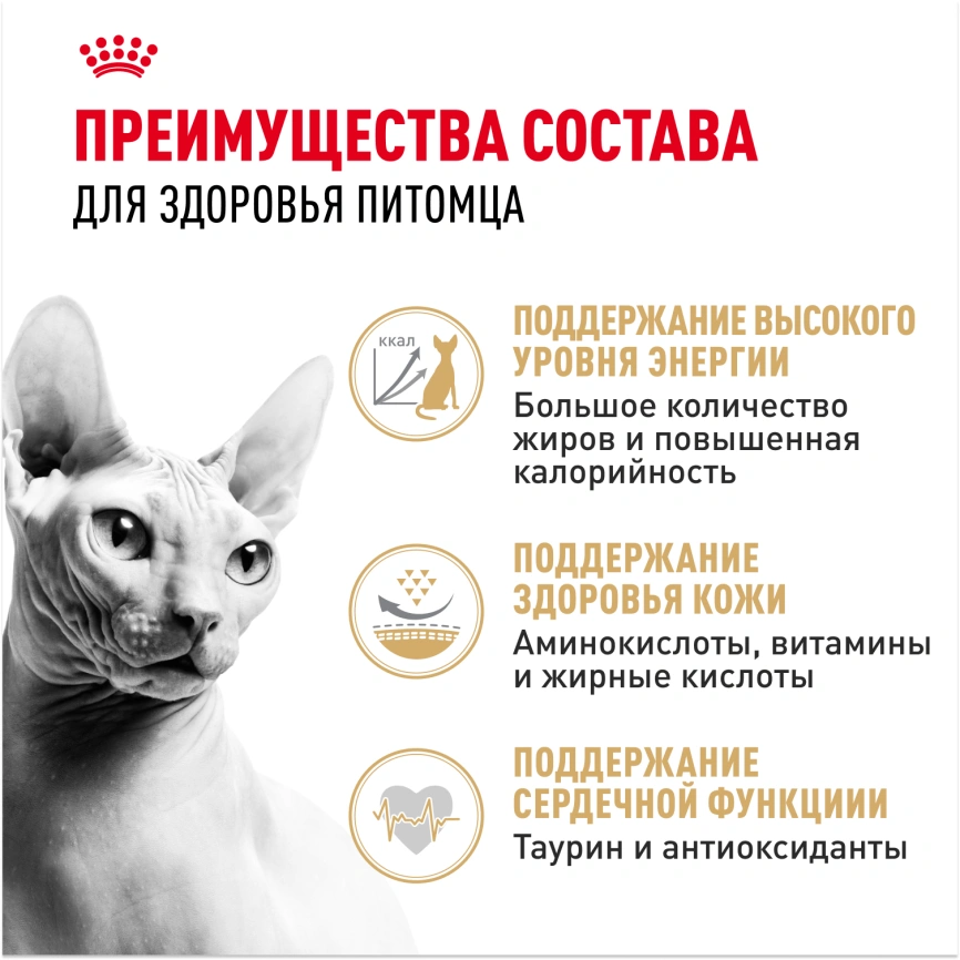 Сухой корм Royal Canin Sphynx для кошек породы сфинкс, 10 кг фото 3