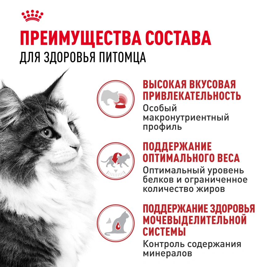 Влажный корм Royal Canin Instinctive в желе для взрослых кошек старше 1 года, пауч, 85 г фото 3