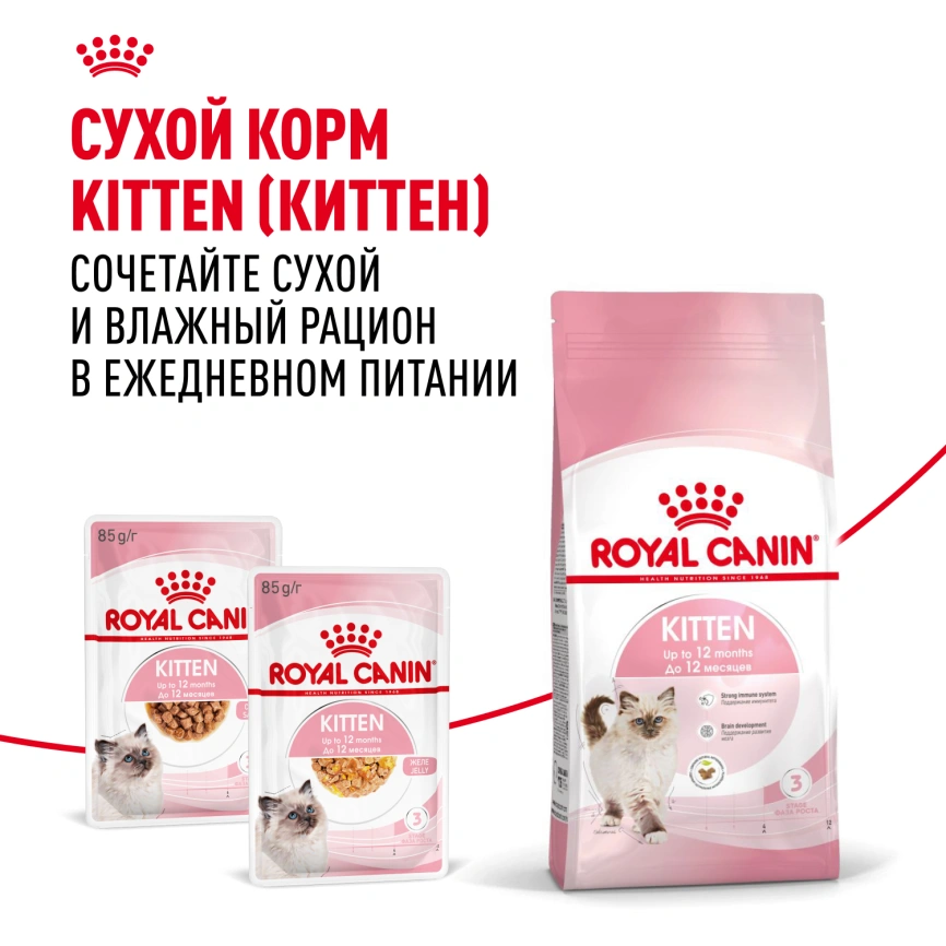 Влажный корм Royal Canin Kitten в соусе для котят до 12 месяцев, пауч, 85 г фото 18