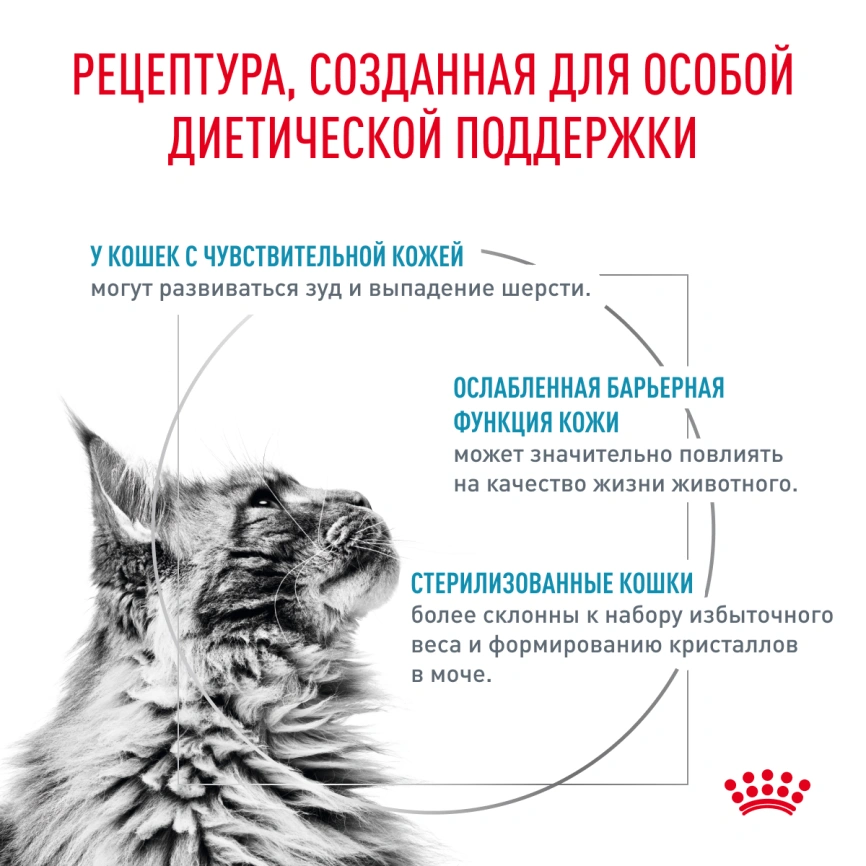 Сухой корм Royal Canin Skin & Coat для кошек, 3.5 кг фото 2