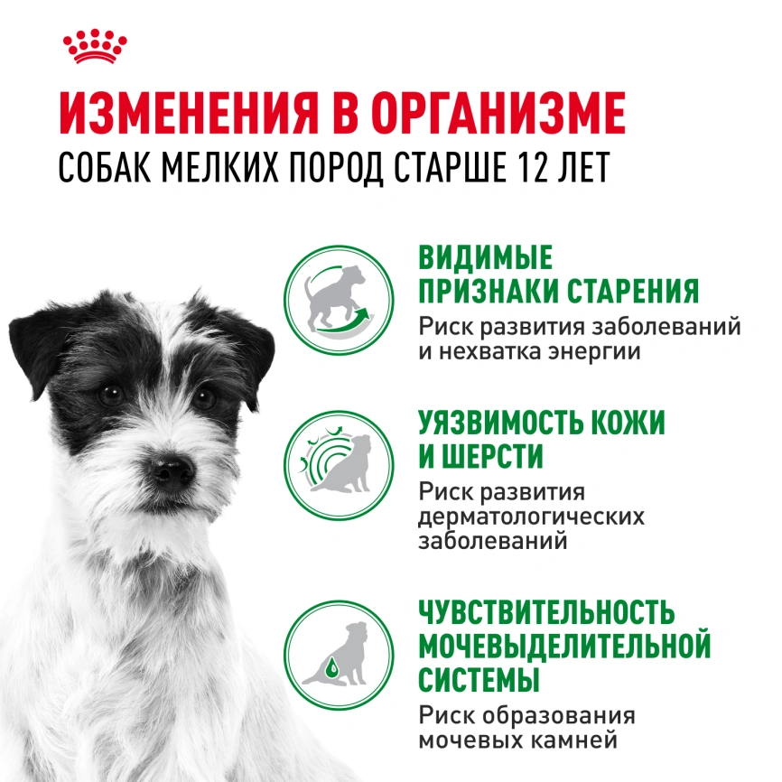 Влажный корм Royal Canin Mini Ageing 12+ в соусе для стареющих собак мелких пород старше 12 лет, пауч, 85 г фото 2