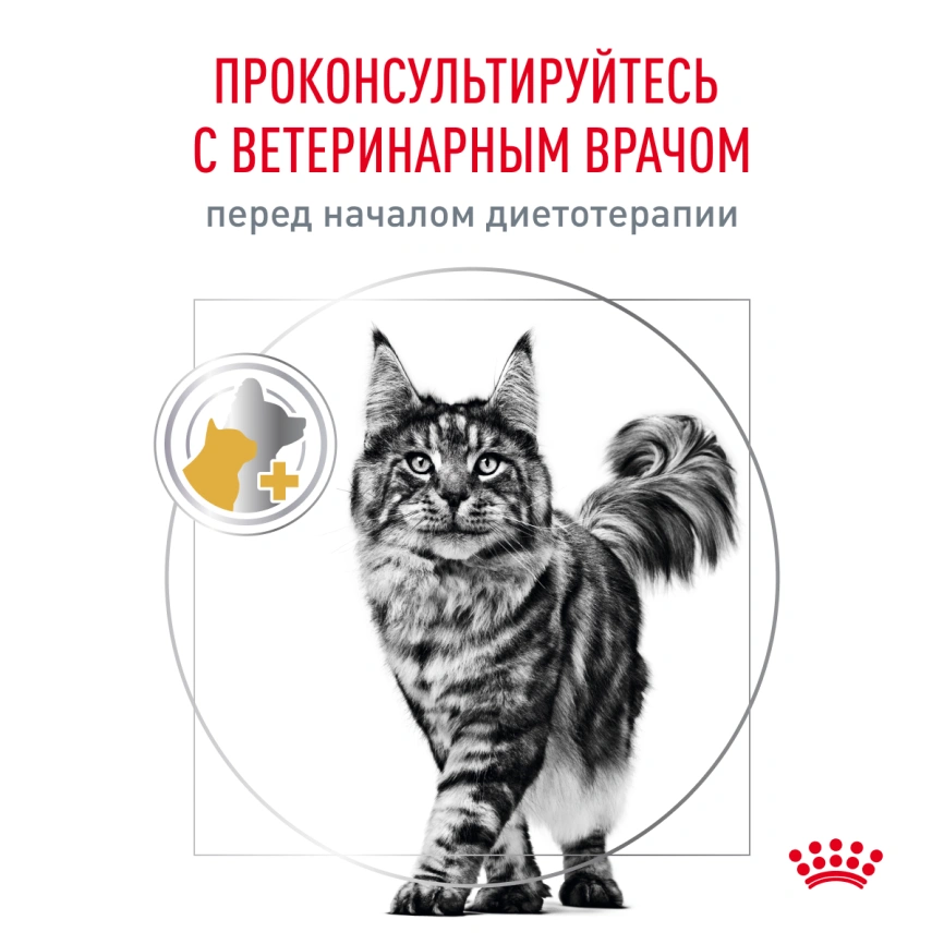 Сухой корм Royal Canin Urinary S/O Moderate Calorie для кошек, 7 кг фото 8