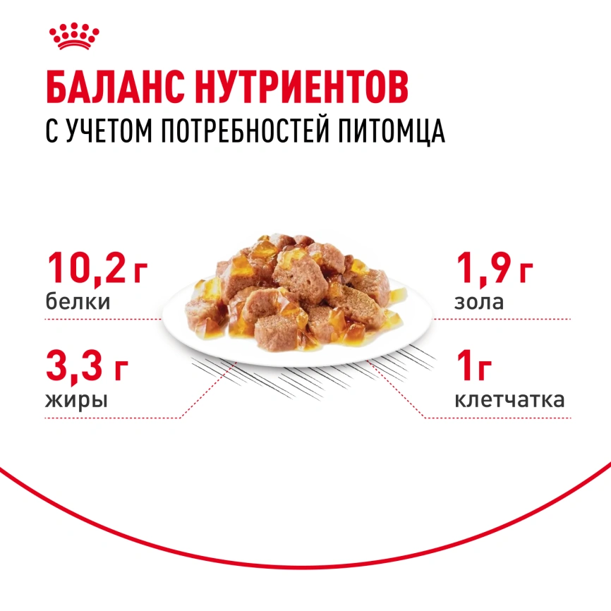 Влажный корм Royal Canin Indoor 7+ в желе для кошек старше 7 лет, живущих в помещении, пауч, 85 г фото 4