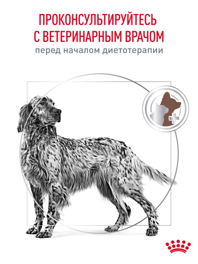 Сухой корм Royal Canin Gastrointestinal для собак, 2 кг фото 21