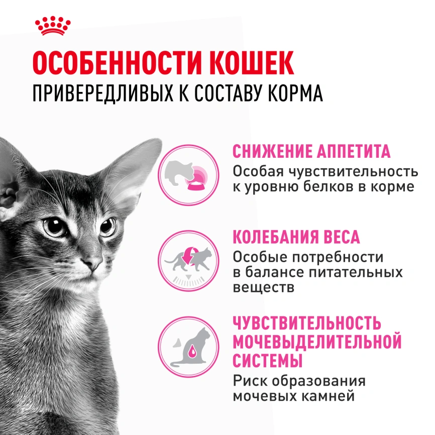 Сухой корм Royal Canin Protein Exigent для кошек, 400 г фото 2