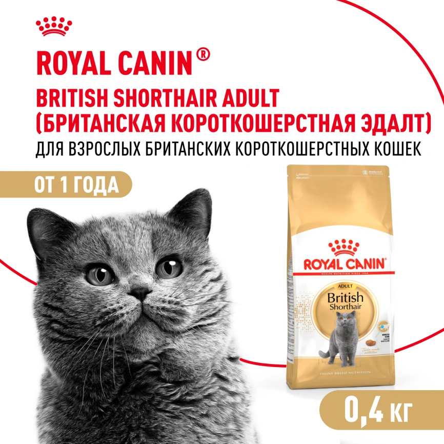 Сухой корм Royal Canin British Shorthair для кошек породы британская короткошерстная, 400 г фото 1