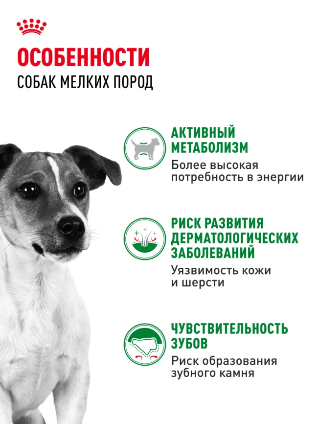 Сухой корм Royal Canin Mini Adult для взрослых собак, 8 кг фото 16