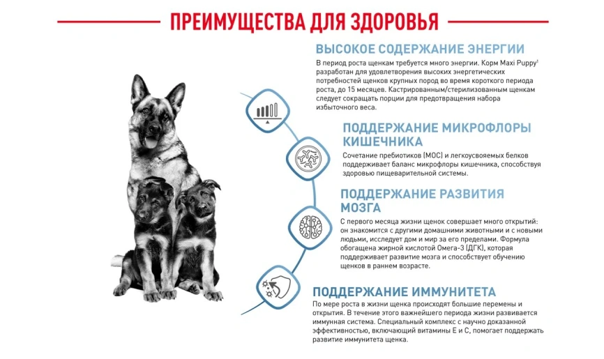 Сухой корм Royal Canin Maxi Puppy для щенков, 3 кг фото 14