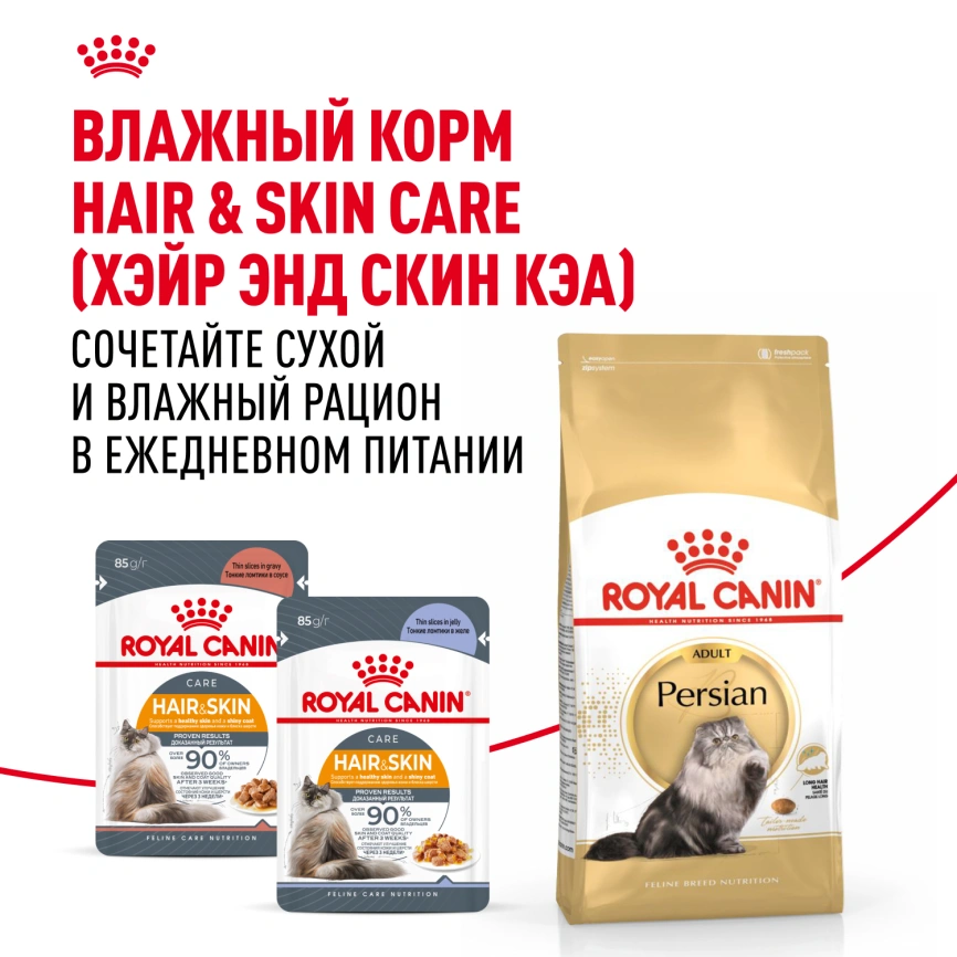 Сухой корм Royal Canin Persian для кошек персидской породы, 4 кг фото 8