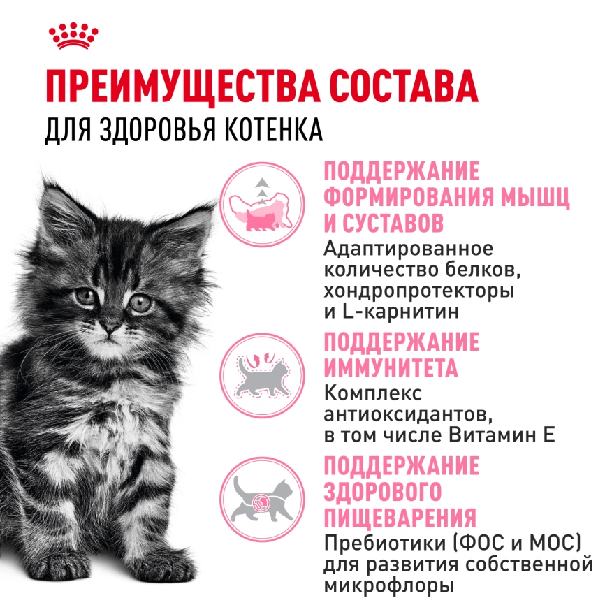 Сухой корм Royal Canin Kitten Maine Coon для котят, 2 кг фото 3